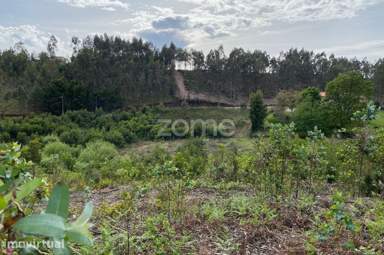 Terreno para Construção | Em Águeda