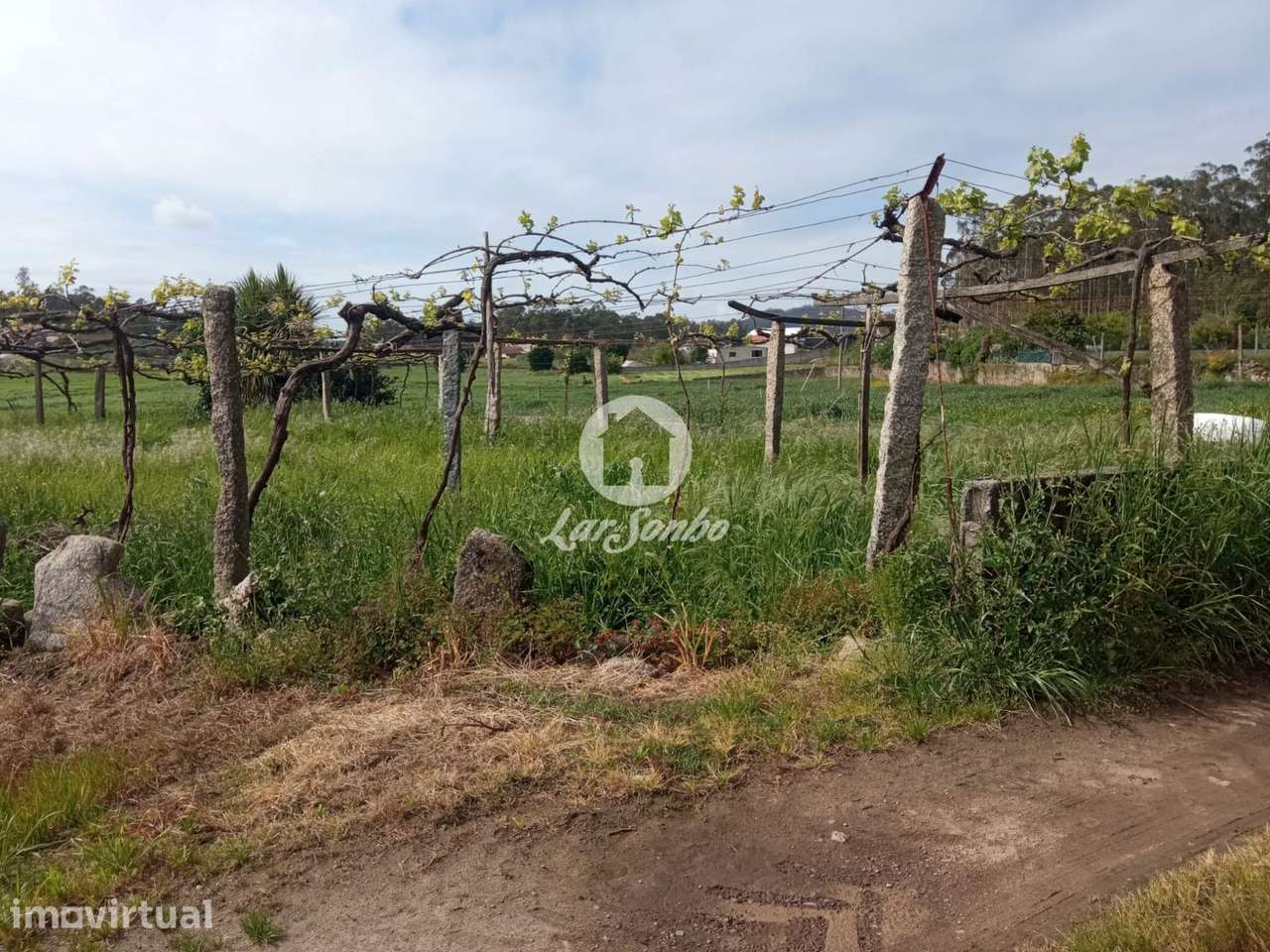 Terreno em Barcelos - Grande imagem: 3/11