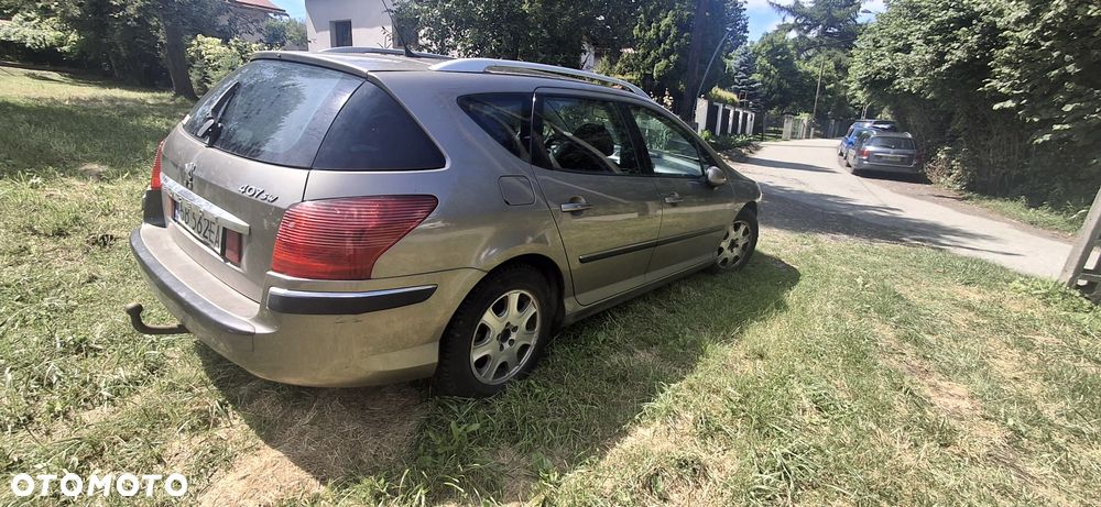 Peugeot 407 - 5