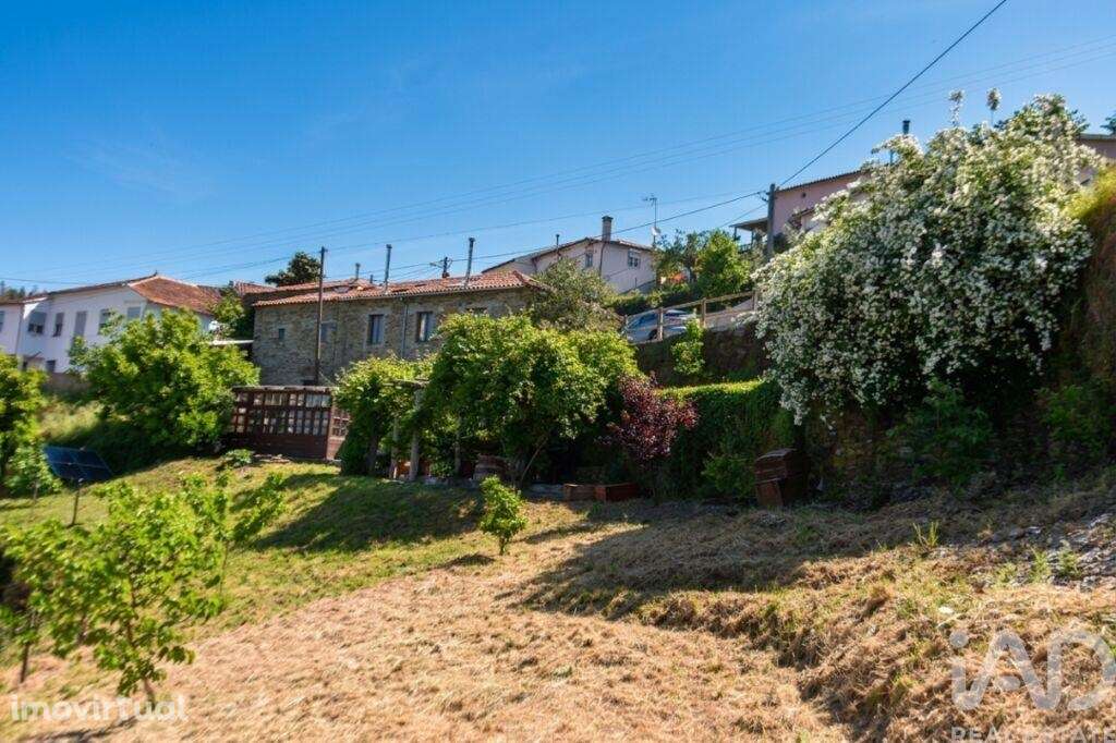 Casa de Campo T3 em Benfeita - Grande imagem: 3/40