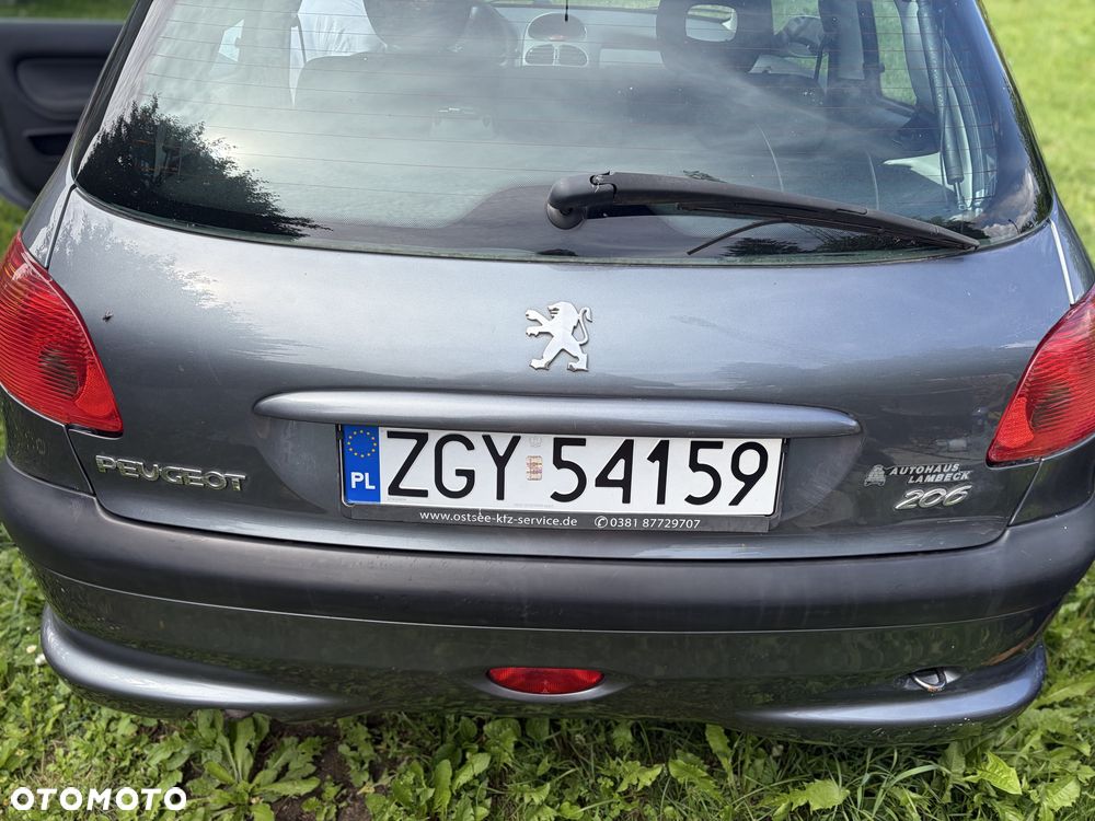 Peugeot 206 - 6