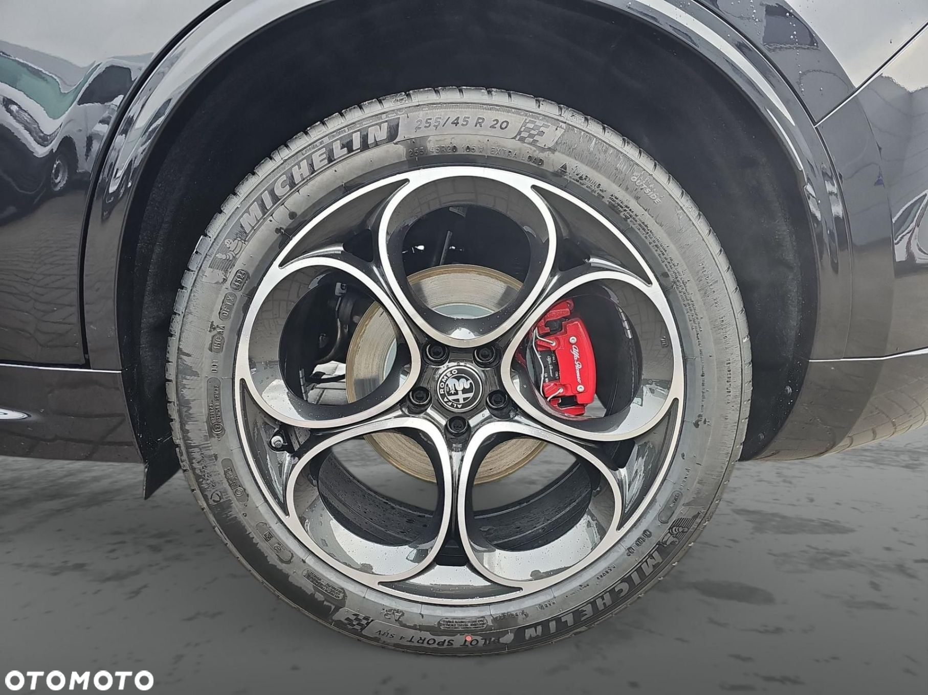 Alfa Romeo Stelvio 2.0 Turbo Veloce Q4 - 9