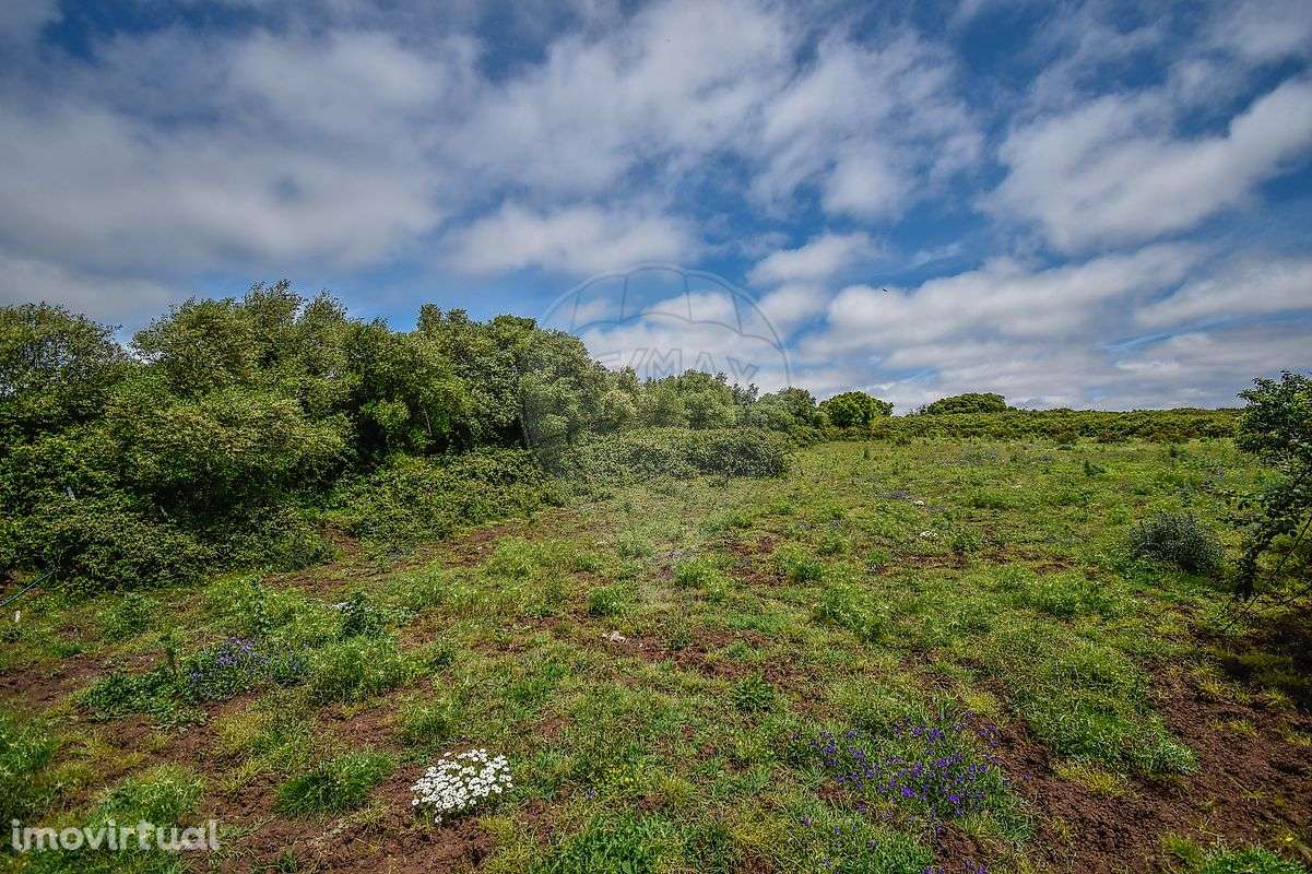 Terreno  para venda - Grande imagem: 5/14