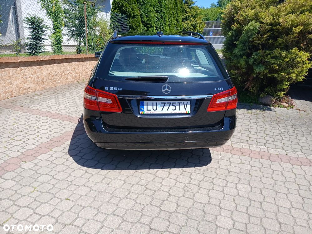 Mercedes-Benz Klasa E 250 CDI Classic - 16