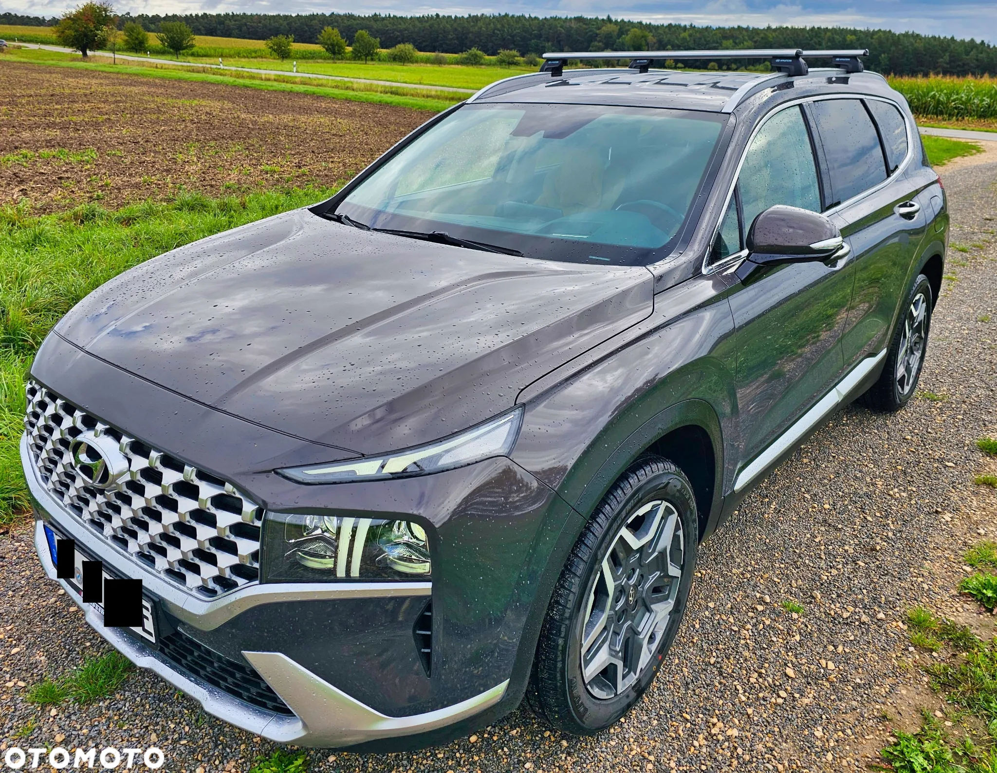 Hyundai Santa Fe 1.6 T-GDI PHEV Executive 4WD - 3
