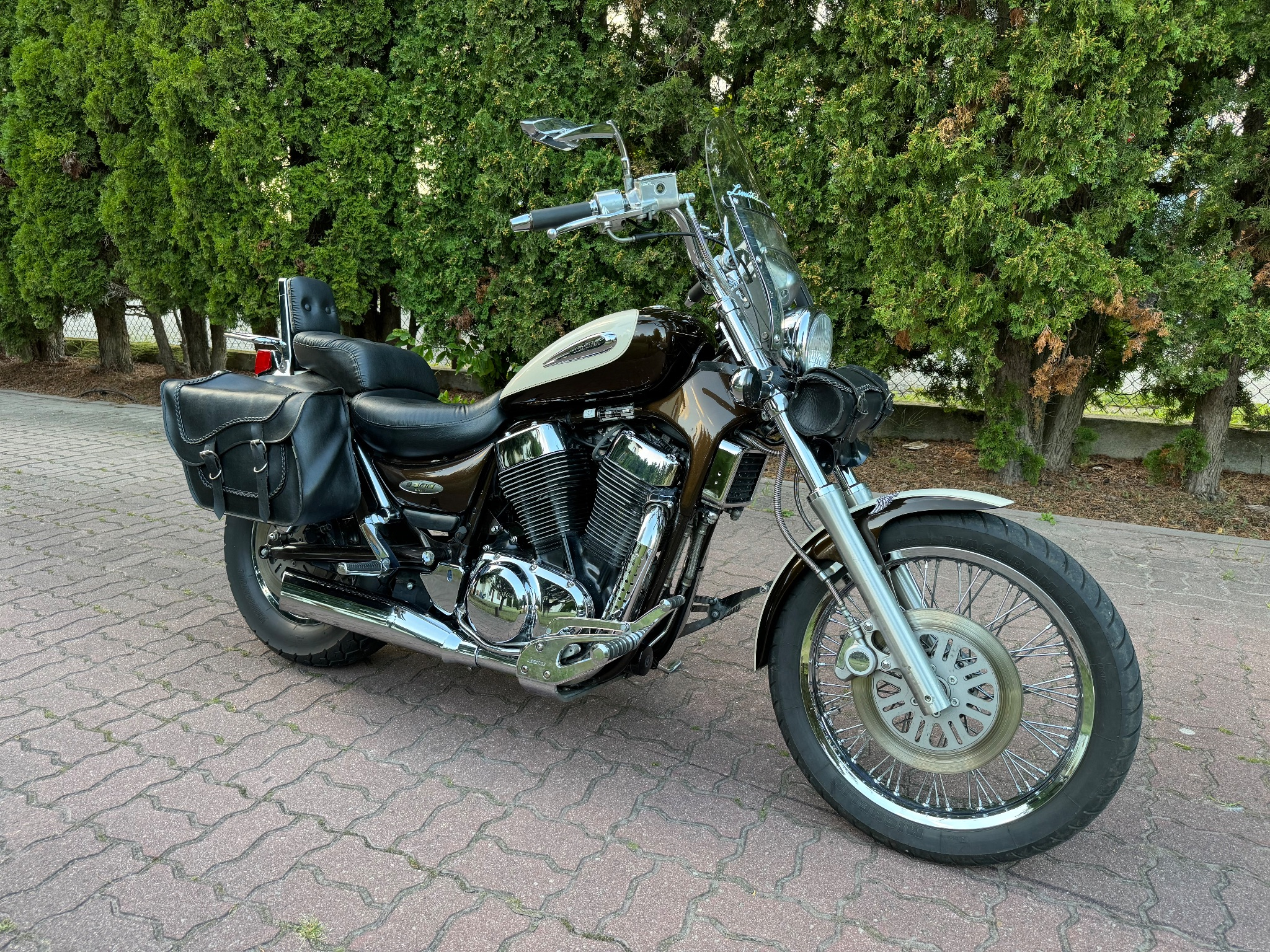 Suzuki Intruder - 3