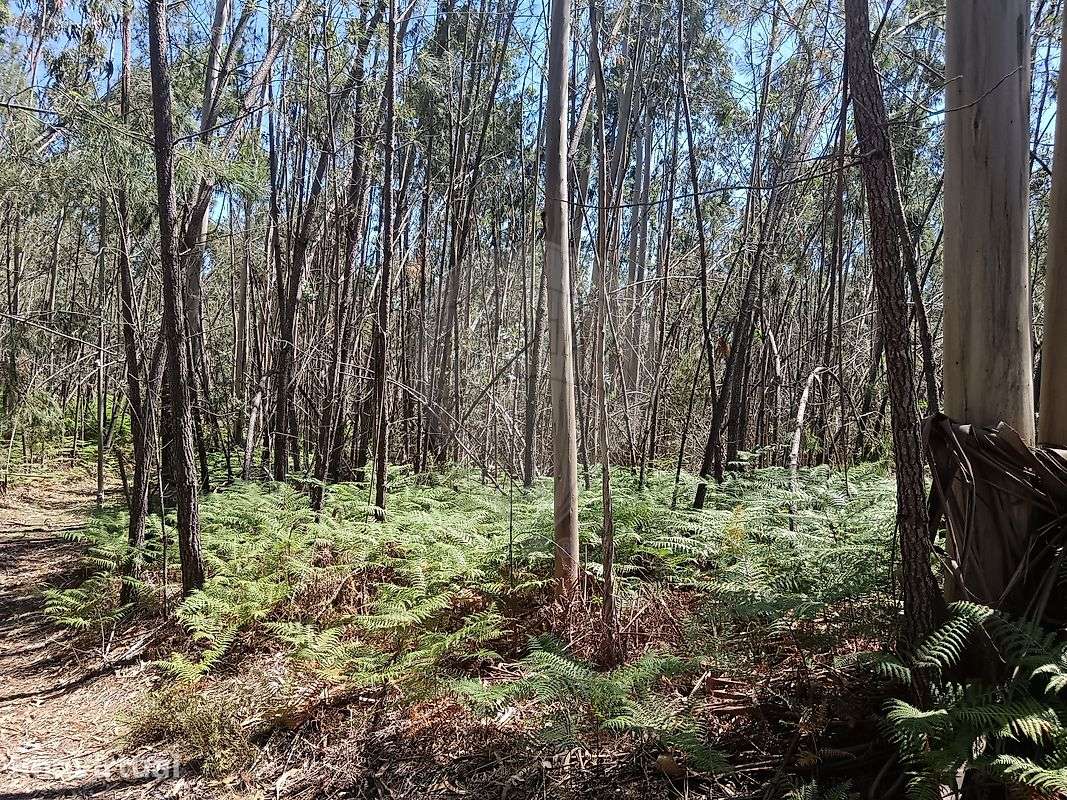 Terreno  para venda - Grande imagem: 2/4