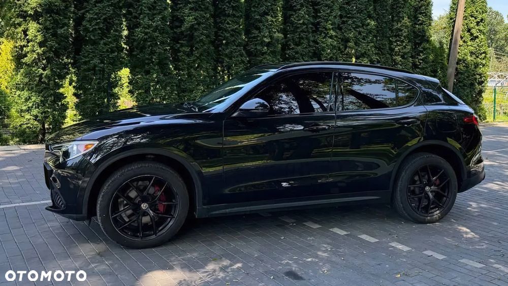 Alfa Romeo Stelvio 2.0 Turbo Super Q4 - 3