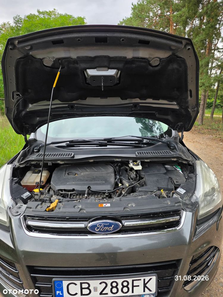 Ford Kuga 1.5 EcoBoost 4WD Titanium Plus - 4