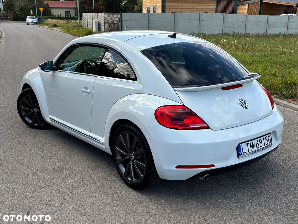 Volkswagen Beetle - 21