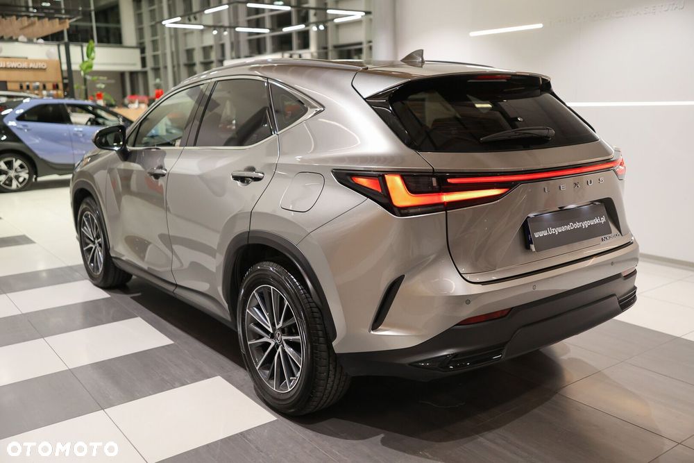 Lexus NX 350h Business AWD - 5