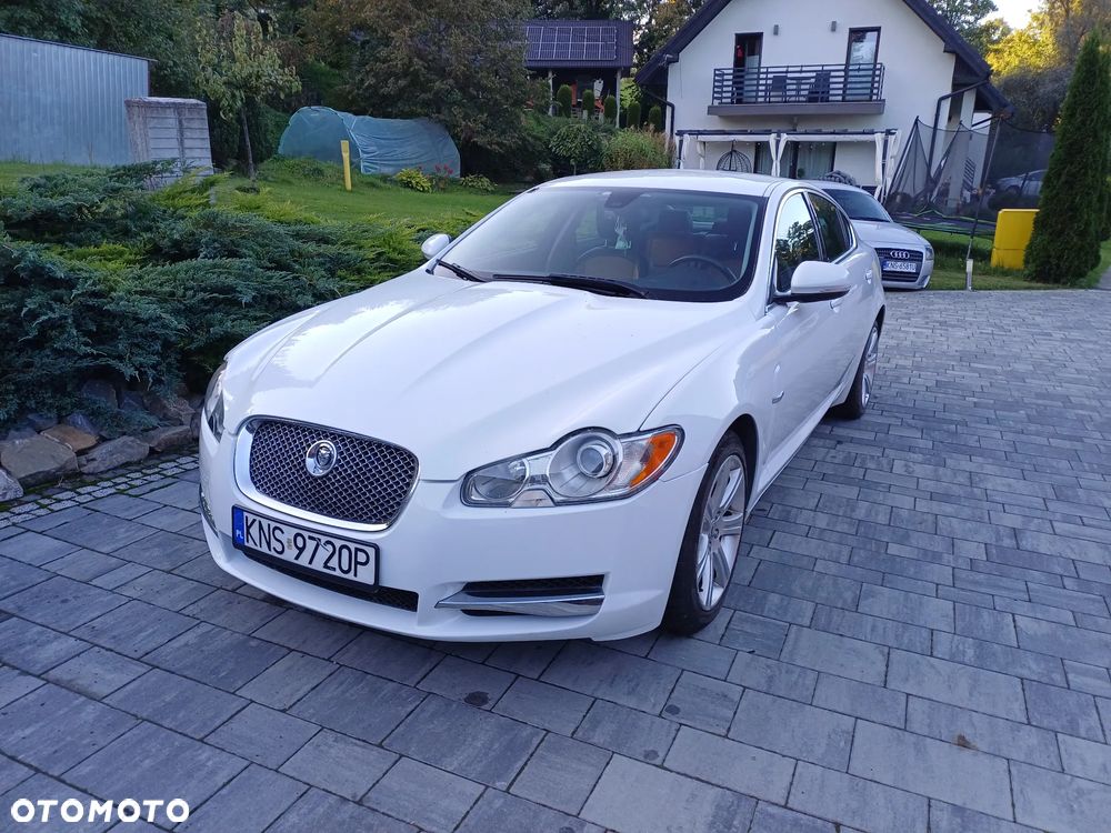 Jaguar XF 3.0 V6 D Portfolio - 3