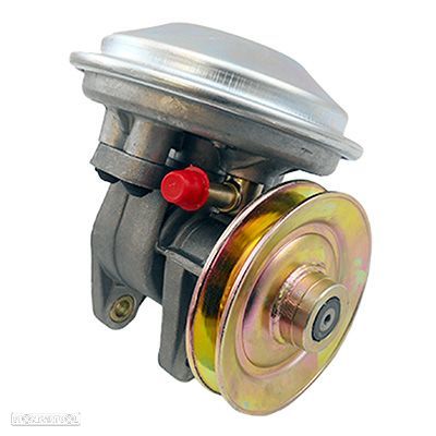 Depressor do ar dos travões Peugeot J5 504 e 505 NOVO - 1