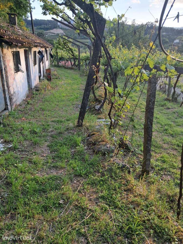 Moradia em Ruinas e terreno com aproximadamente 3600m2 em Constance, M - Grande imagem: 5/15