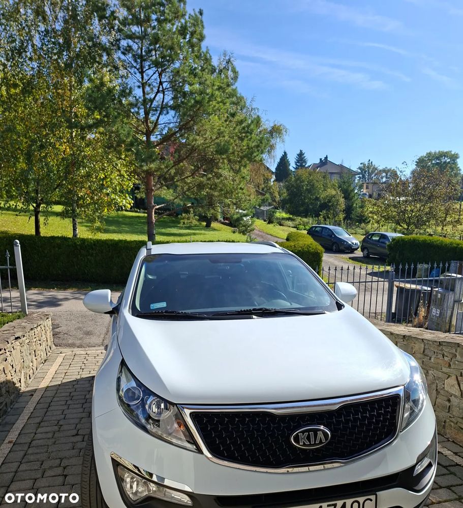 Kia Sportage - 1