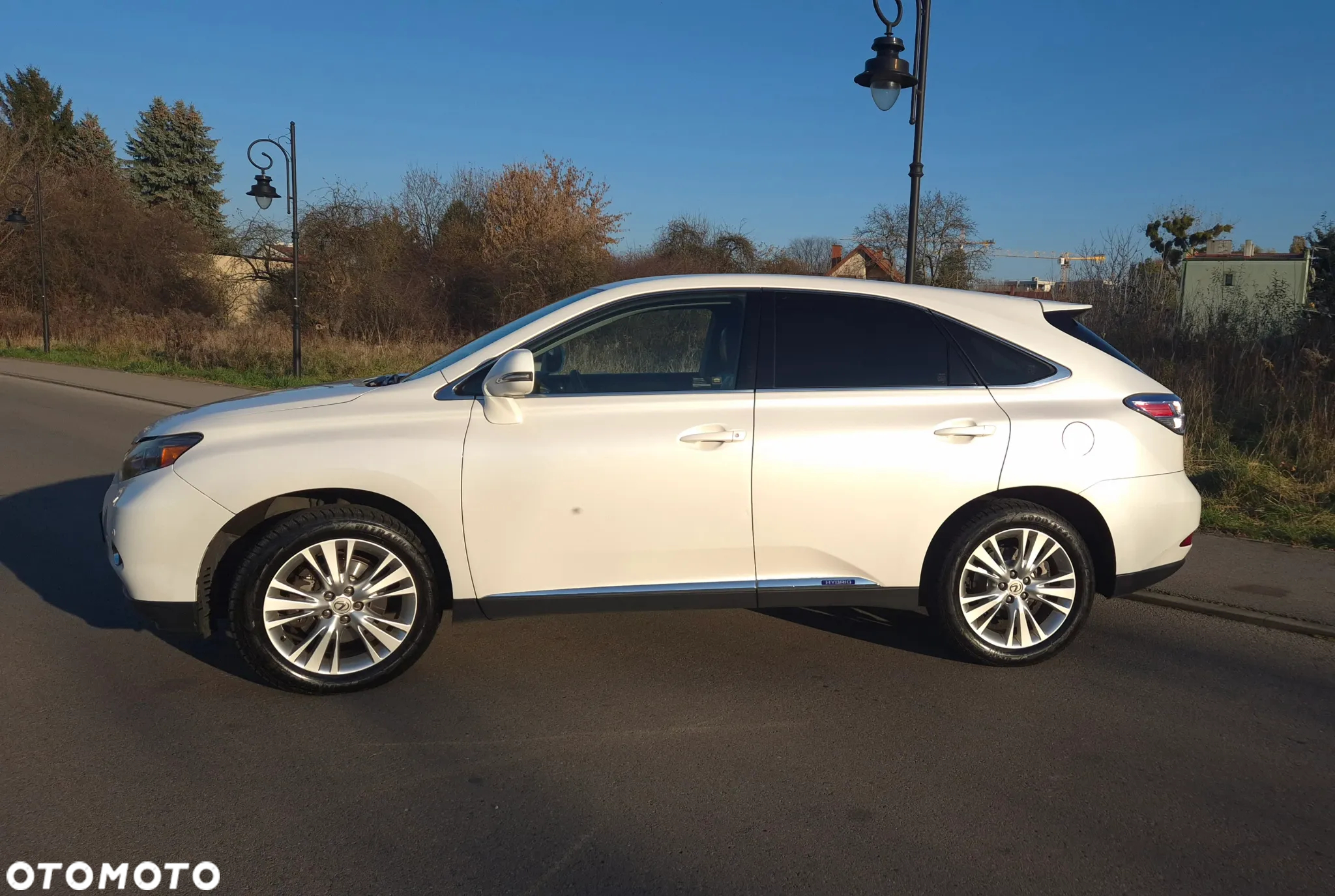 Lexus RX - 3