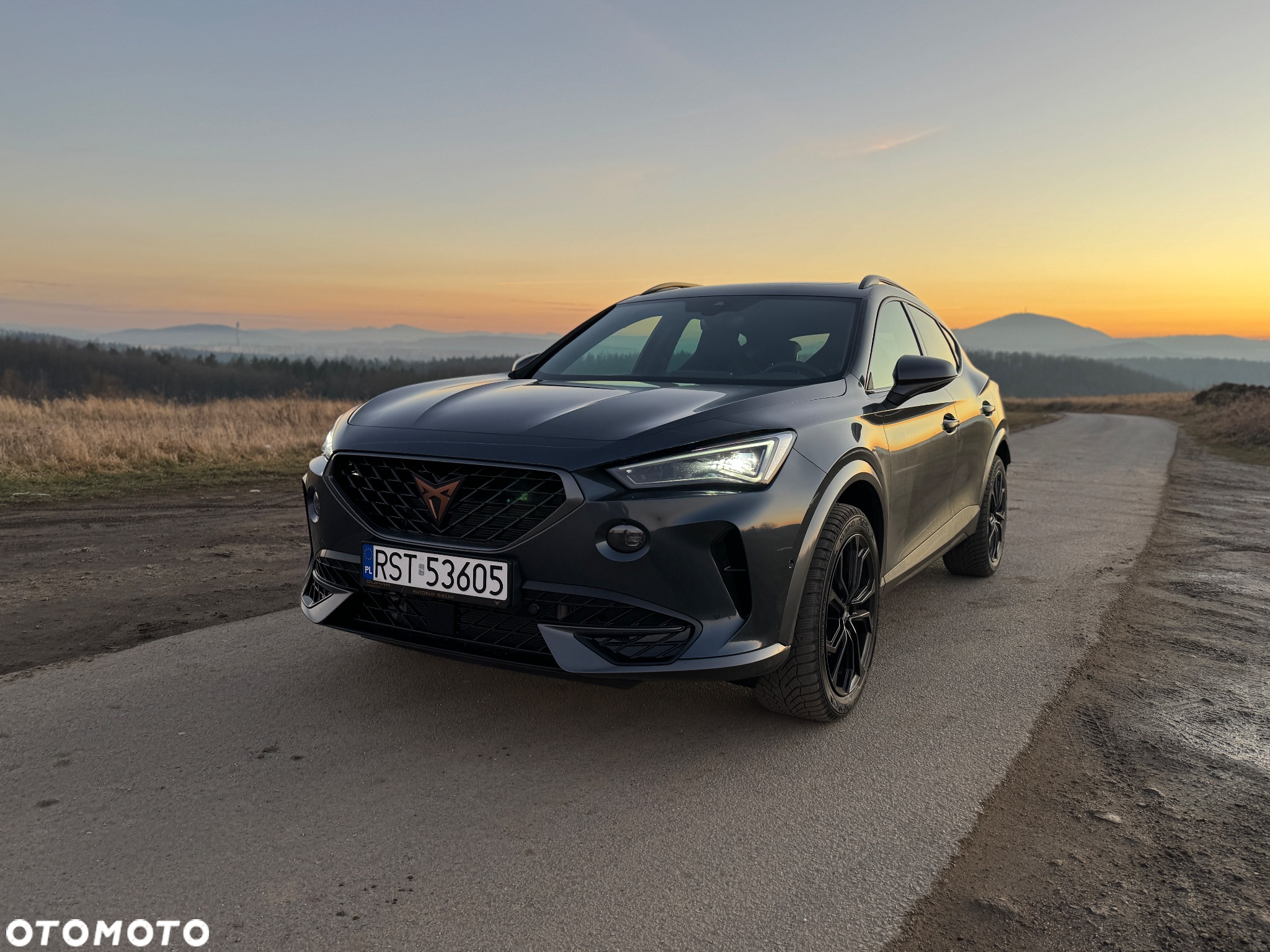 Cupra Formentor 2.0 TSI 4Drive VZ DSG - 7