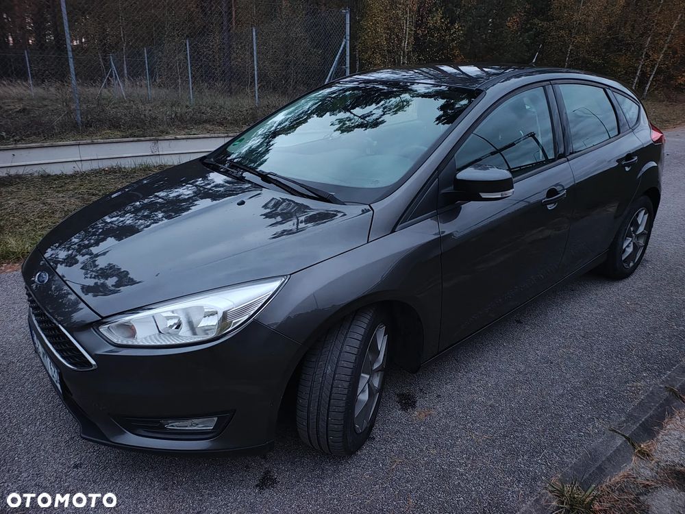Ford Focus - 13