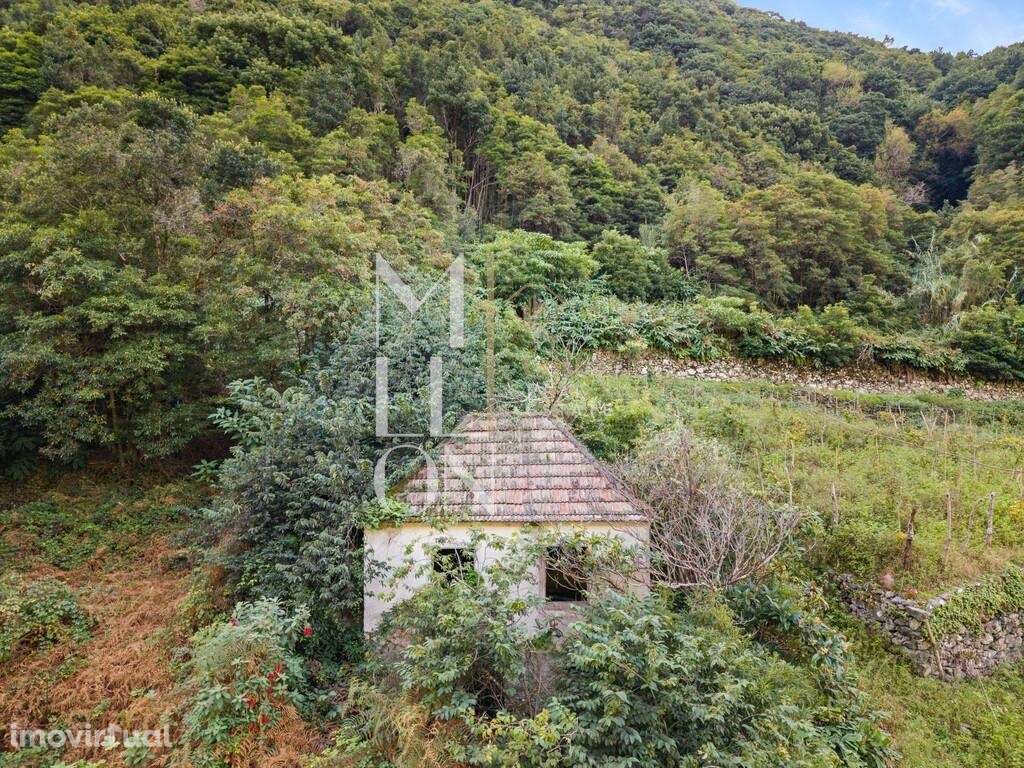 Oportunidade Única na Zona Norte da Ilha – Boaventura - Grande imagem: 2/20