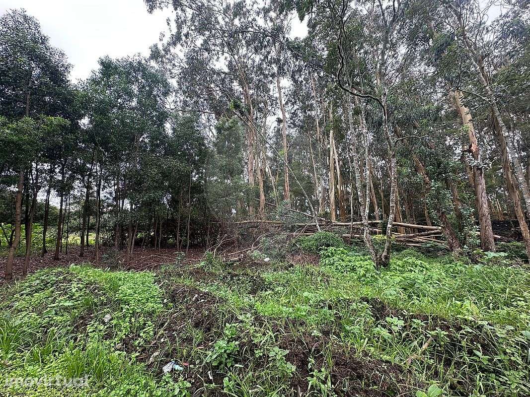 Terreno  para venda - Grande imagem: 4/4