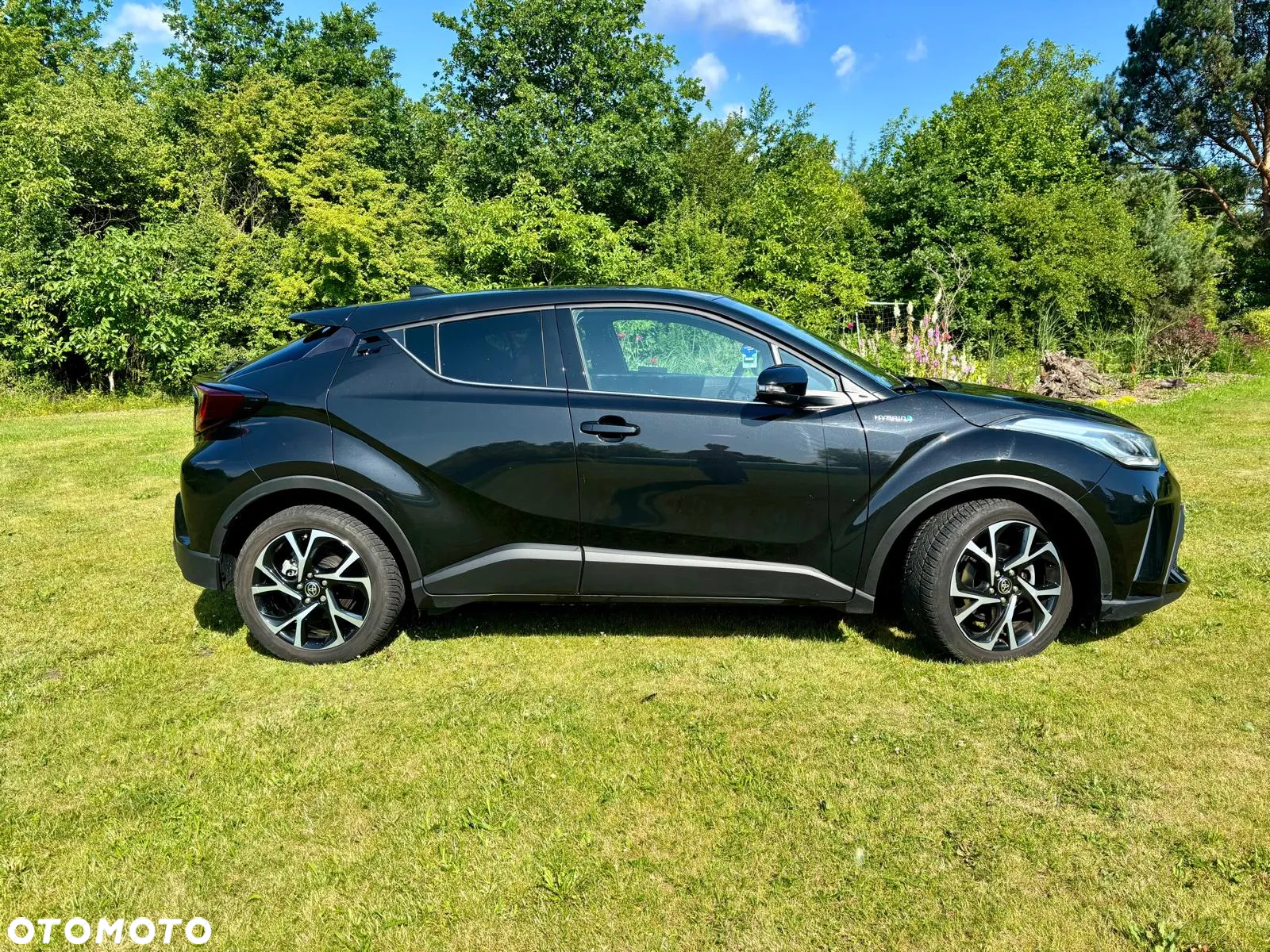 Toyota C-HR 2.0 Hybrid Executive - 7
