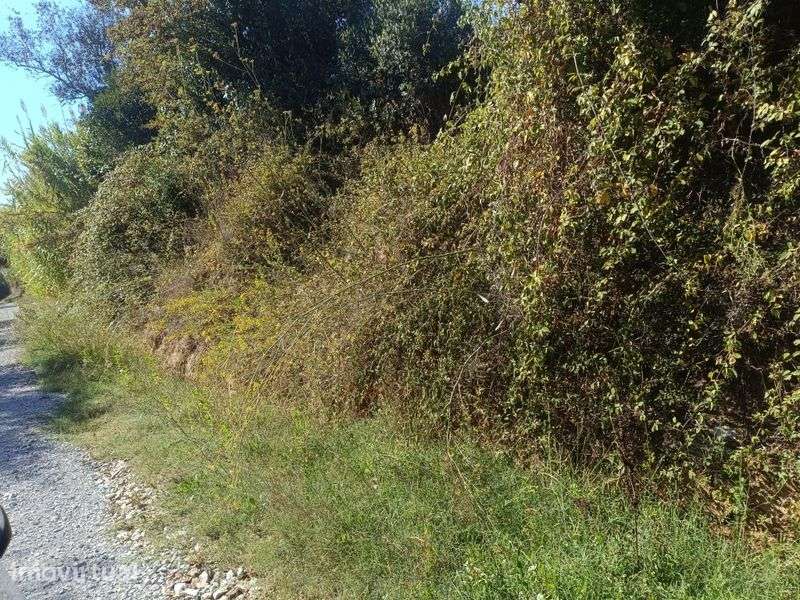 Venda de 2 terrenos em Verride