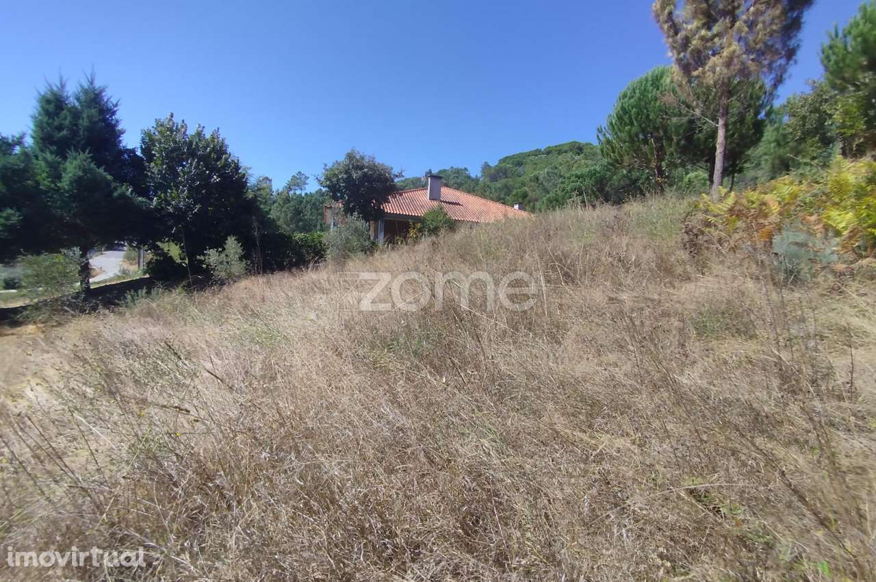 Dois erreno Corvos-Á-Nogueira / Praia Fluvial - Grande imagem: 3/46