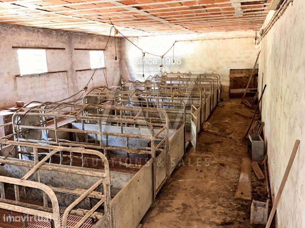 Pavilhões para criação de gado com arrecadações, logradouro e terre... - Grande imagem: 4/6