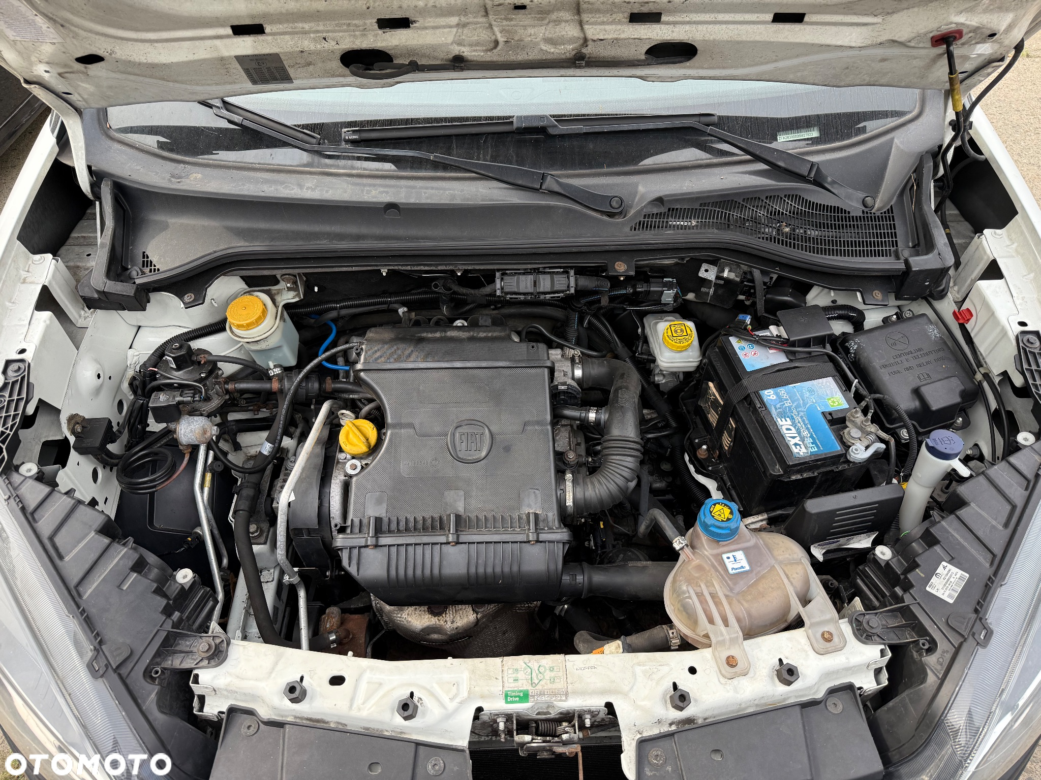 Fiat Doblo - 5