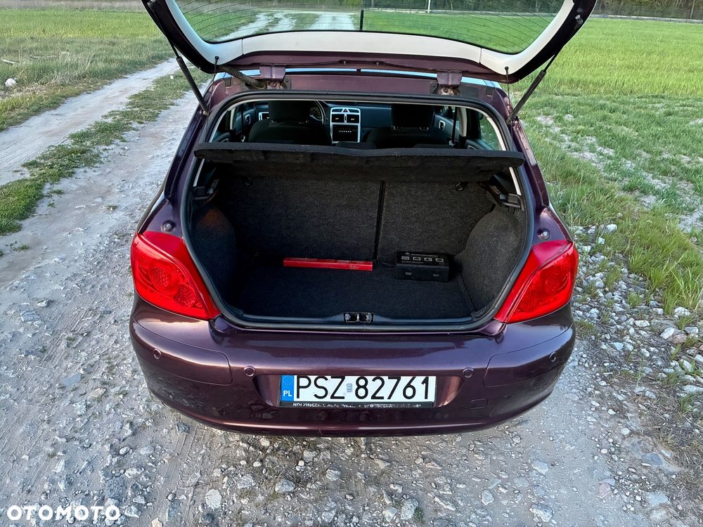 Peugeot 307 2.0 XT - 5