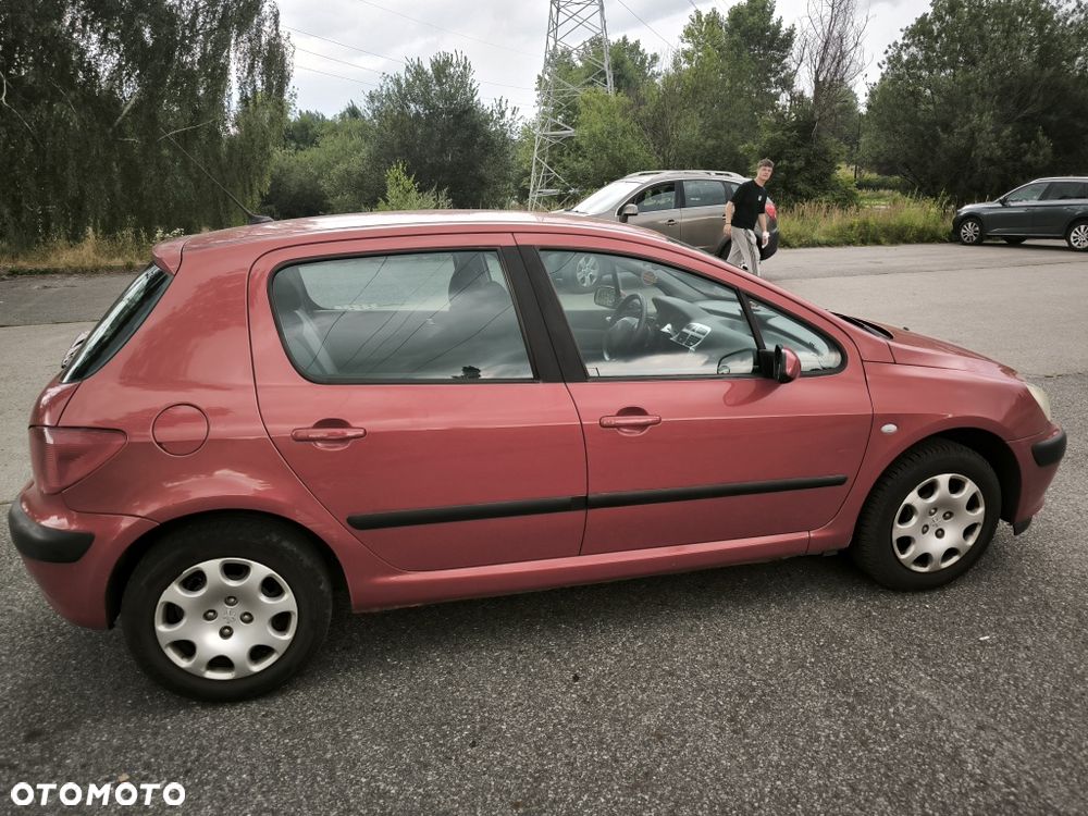 Peugeot 307 - 3