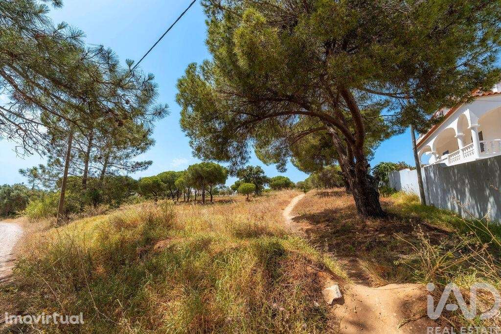 Terreno em Montenegro de 5320,00 m2 - Grande imagem: 3/27