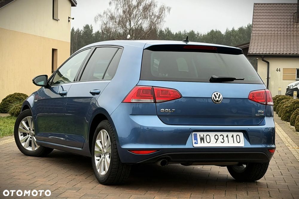 Volkswagen Golf 1.6 TDI BlueMotion Technology Cup - 17