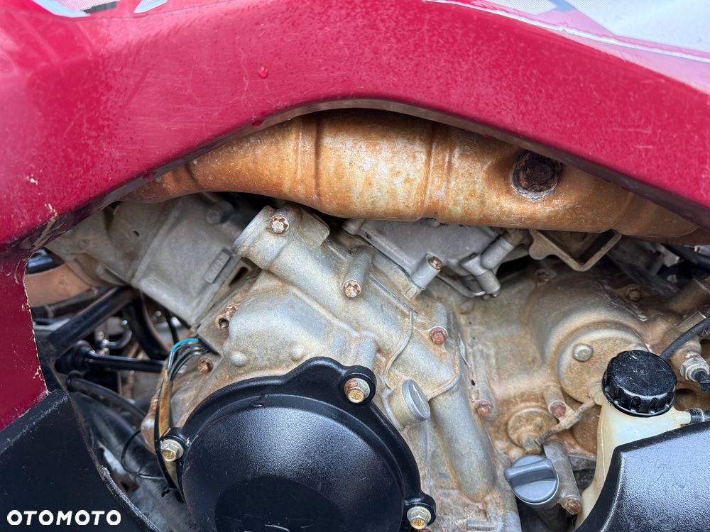 Kawasaki Brute Force - 12