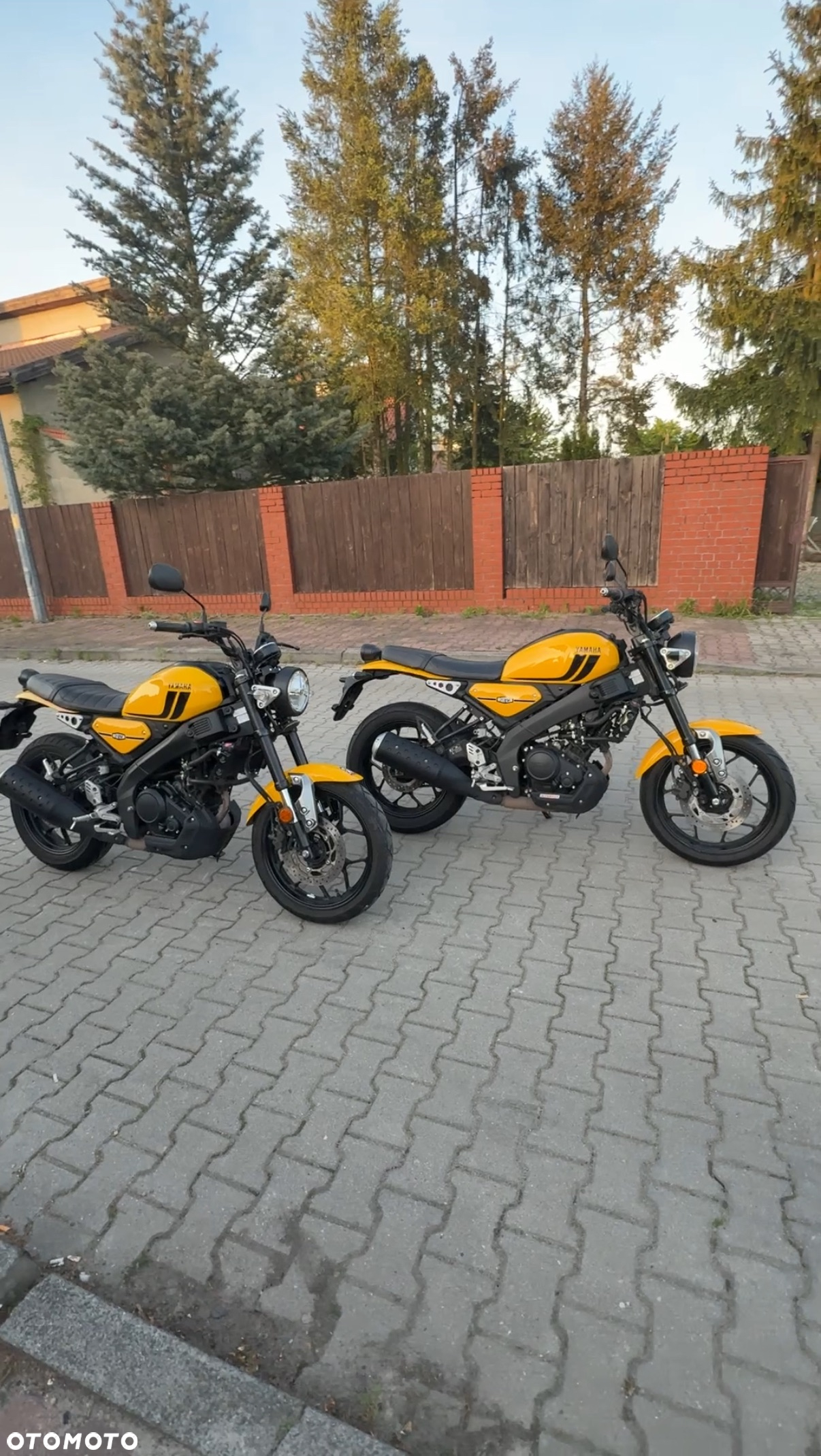 Yamaha XSR - 32
