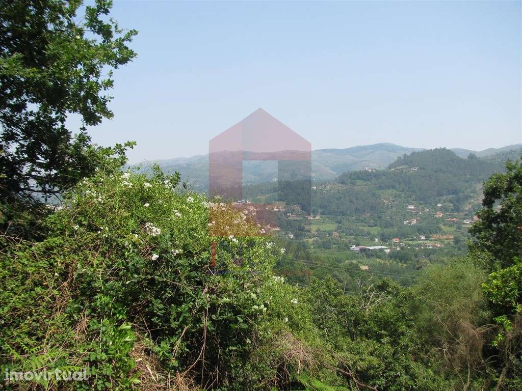 Terreno, Valbom S. Martinho - Grande imagem: 4/4