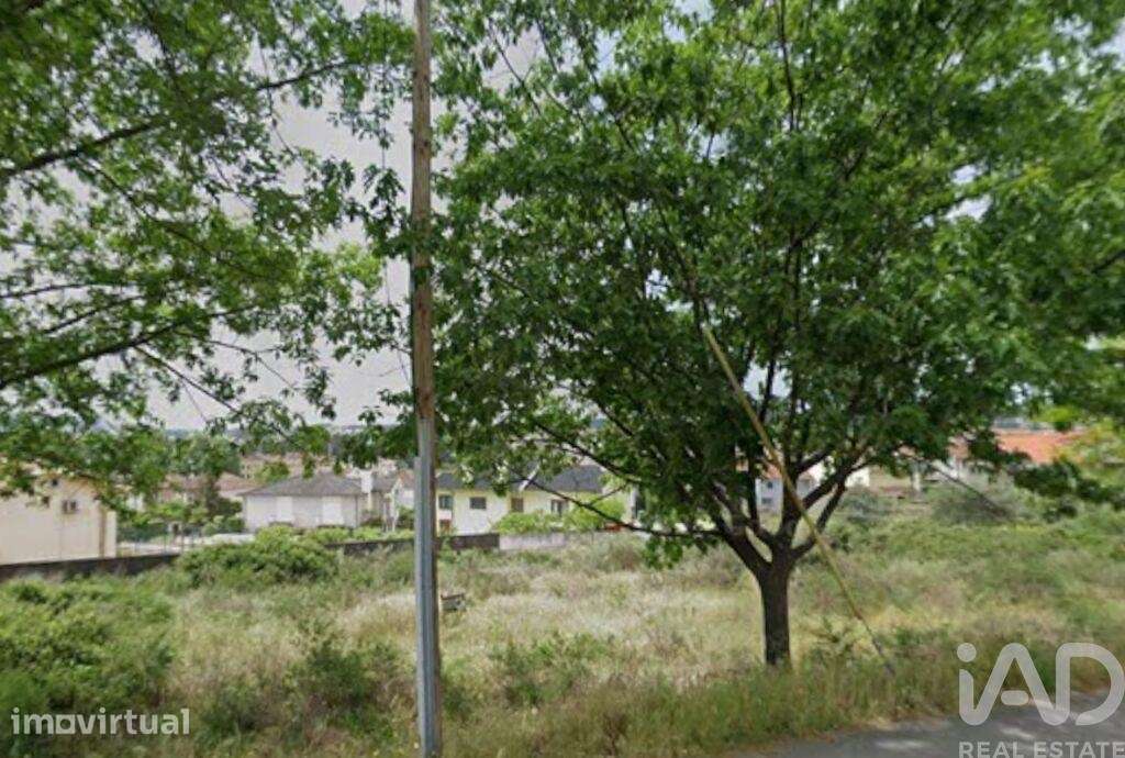 Terreno em Santa Cruz - Grande imagem: 4/4