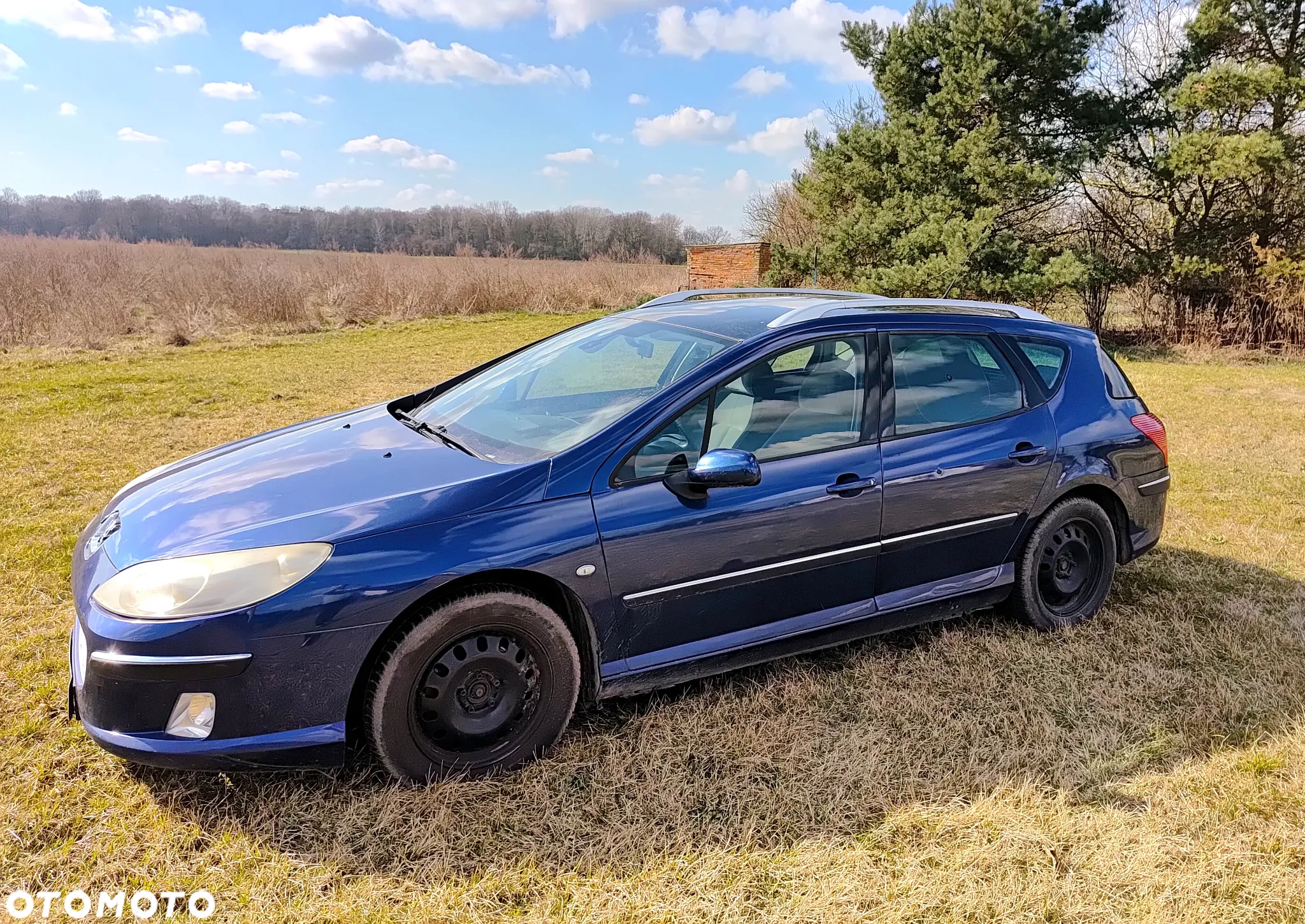 Peugeot 407 - 2