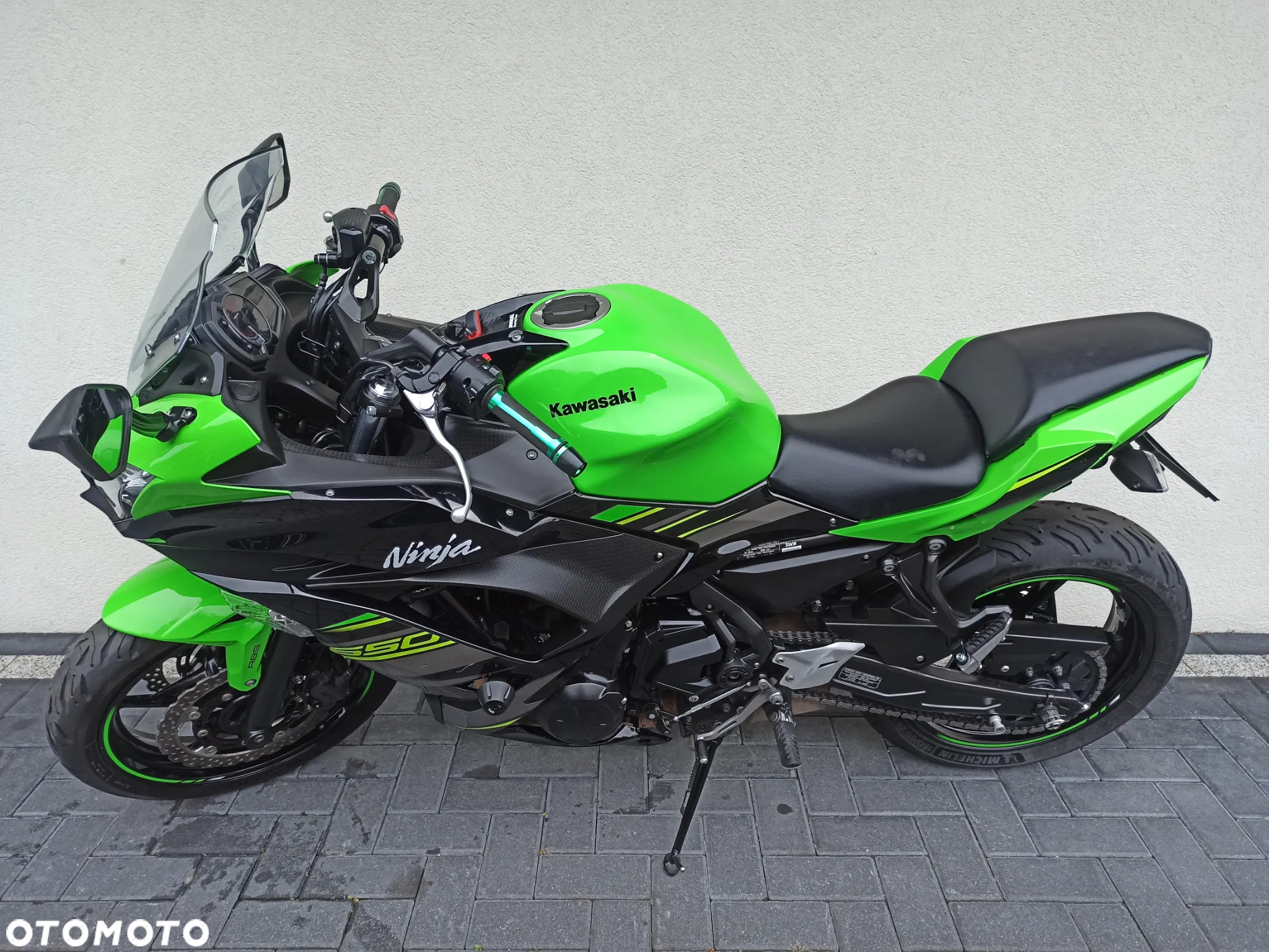 Kawasaki Ninja - 3