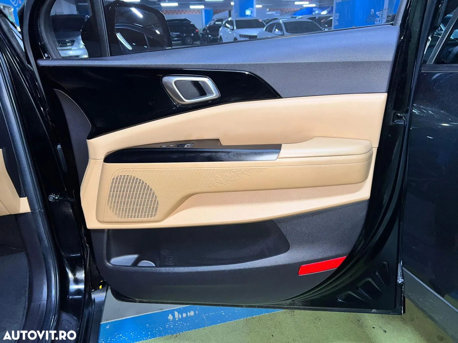 Kia Carnival - 22