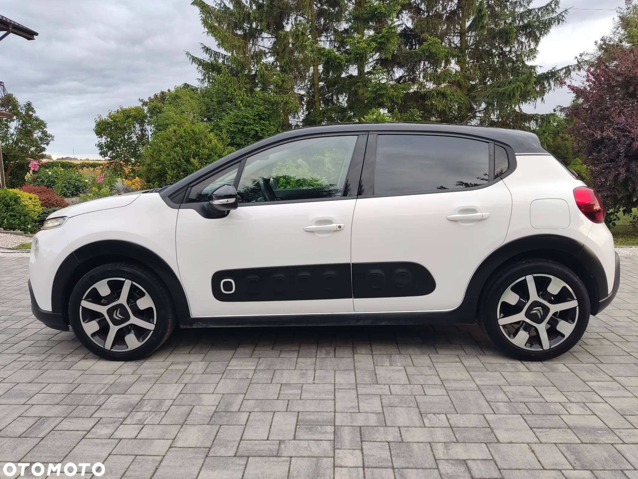 Citroën C3 1.5 BlueHDi Feel S&S - 10
