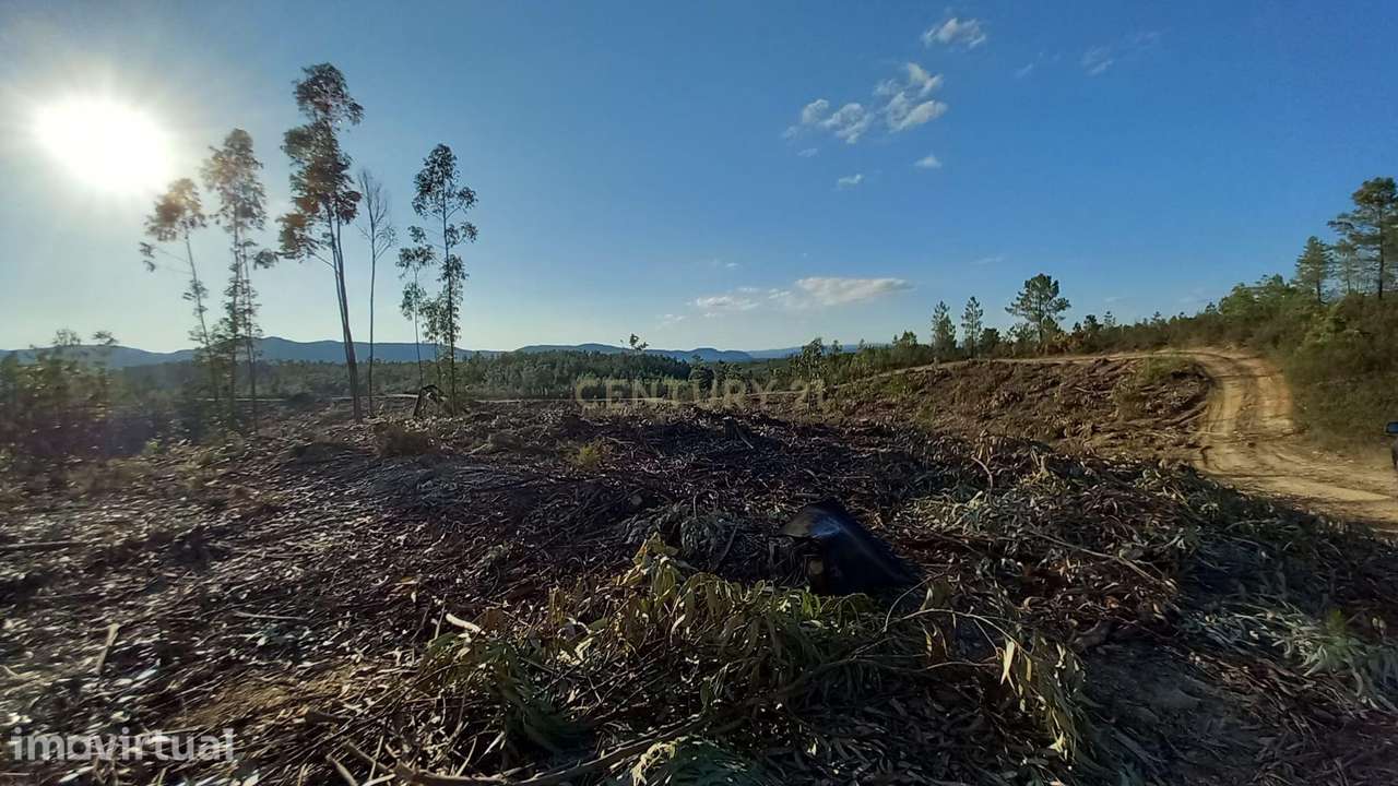Terreno Rustico Monte Gordo Sarzedas - Grande imagem: 3/5