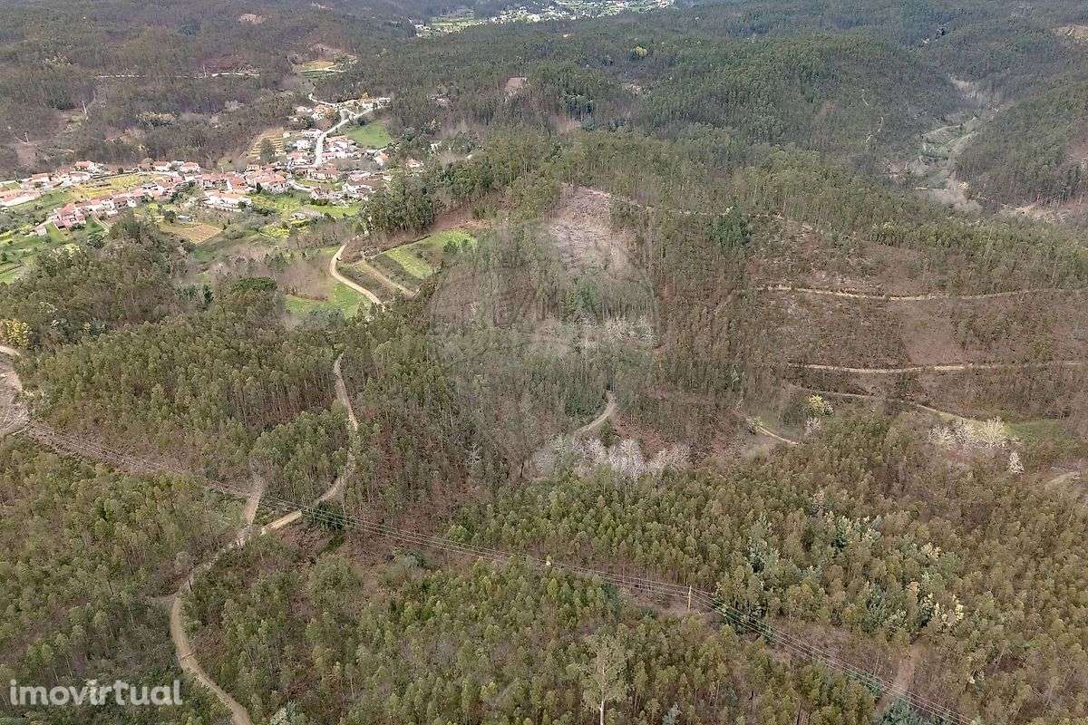 Terreno  para venda - Grande imagem: 3/7