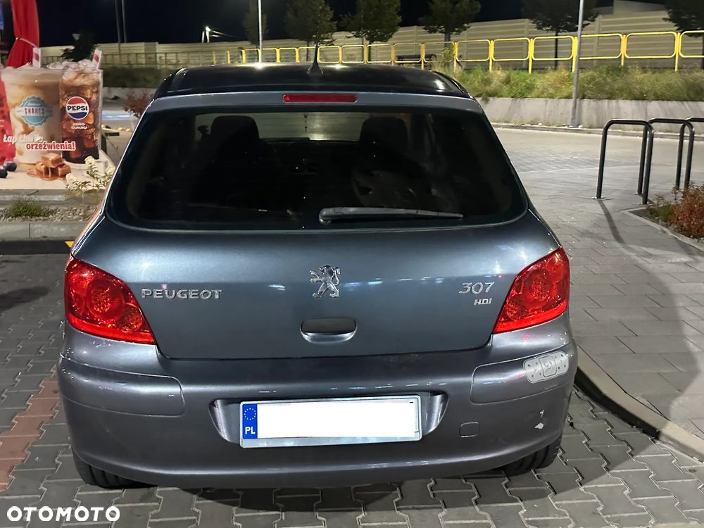 Peugeot 307 HDi 90 Filou - 4