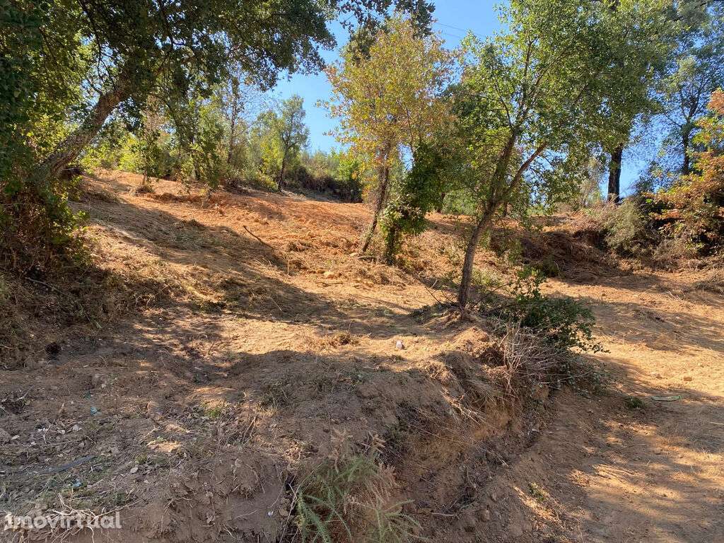 Terreno em Côja - Grande imagem: 2/5