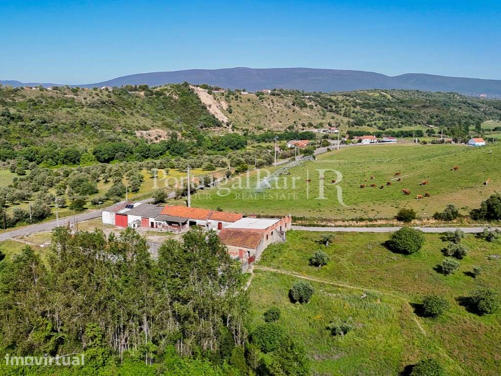 Quinta com 5 hectares e 800 m² de construção, Torres Novas - Grande imagem: 3/14