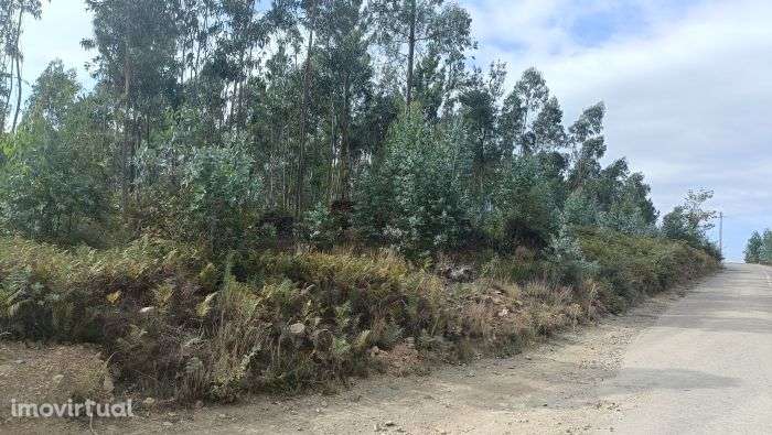 Prédio Misto - Albergaria a Velha - Grande imagem: 4/5