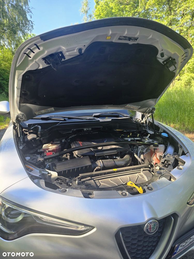Alfa Romeo Stelvio 2.0 Turbo 16V AT8-Q4 Veloce Ti - 8
