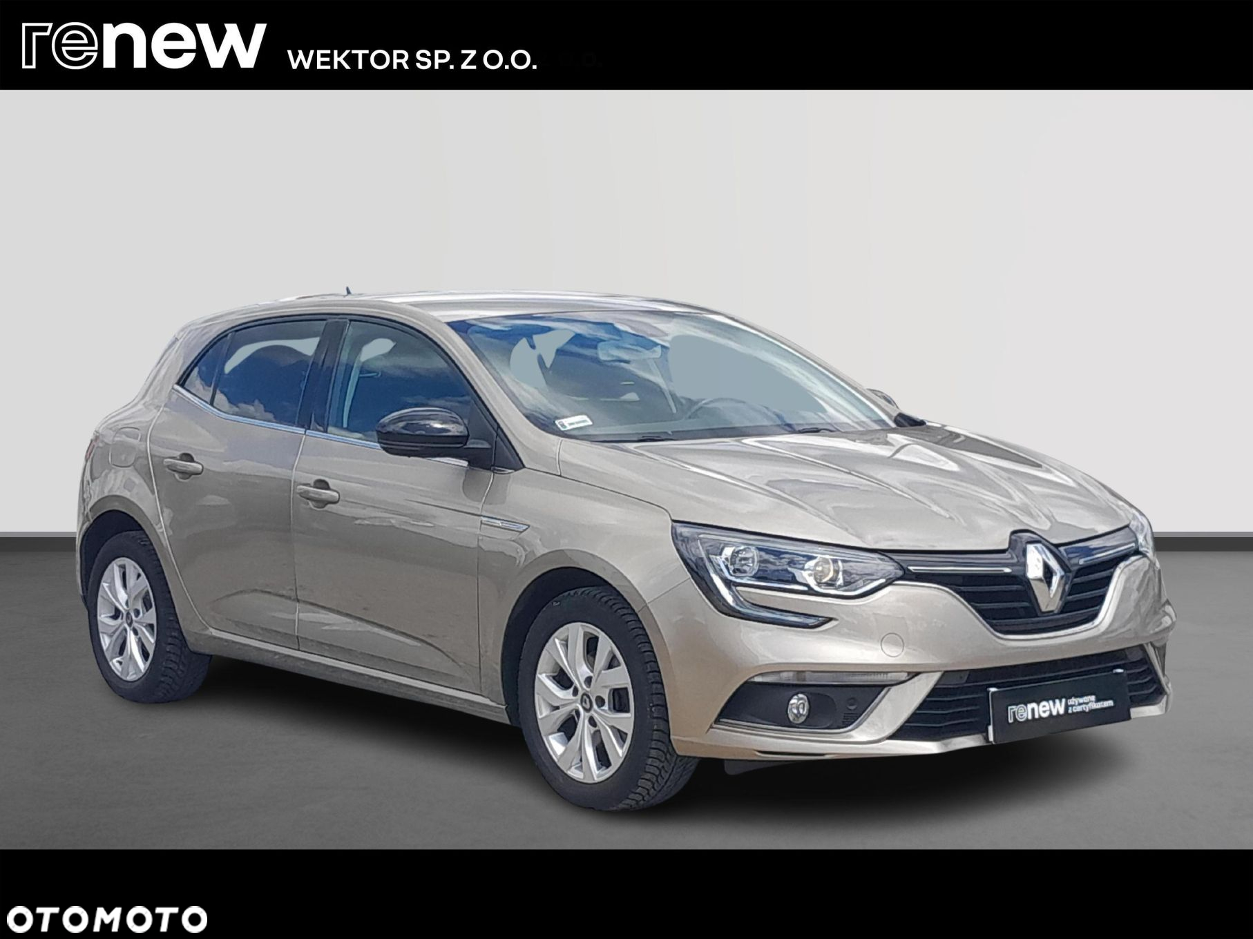 Renault Megane 1.3 TCe FAP Limited - 7