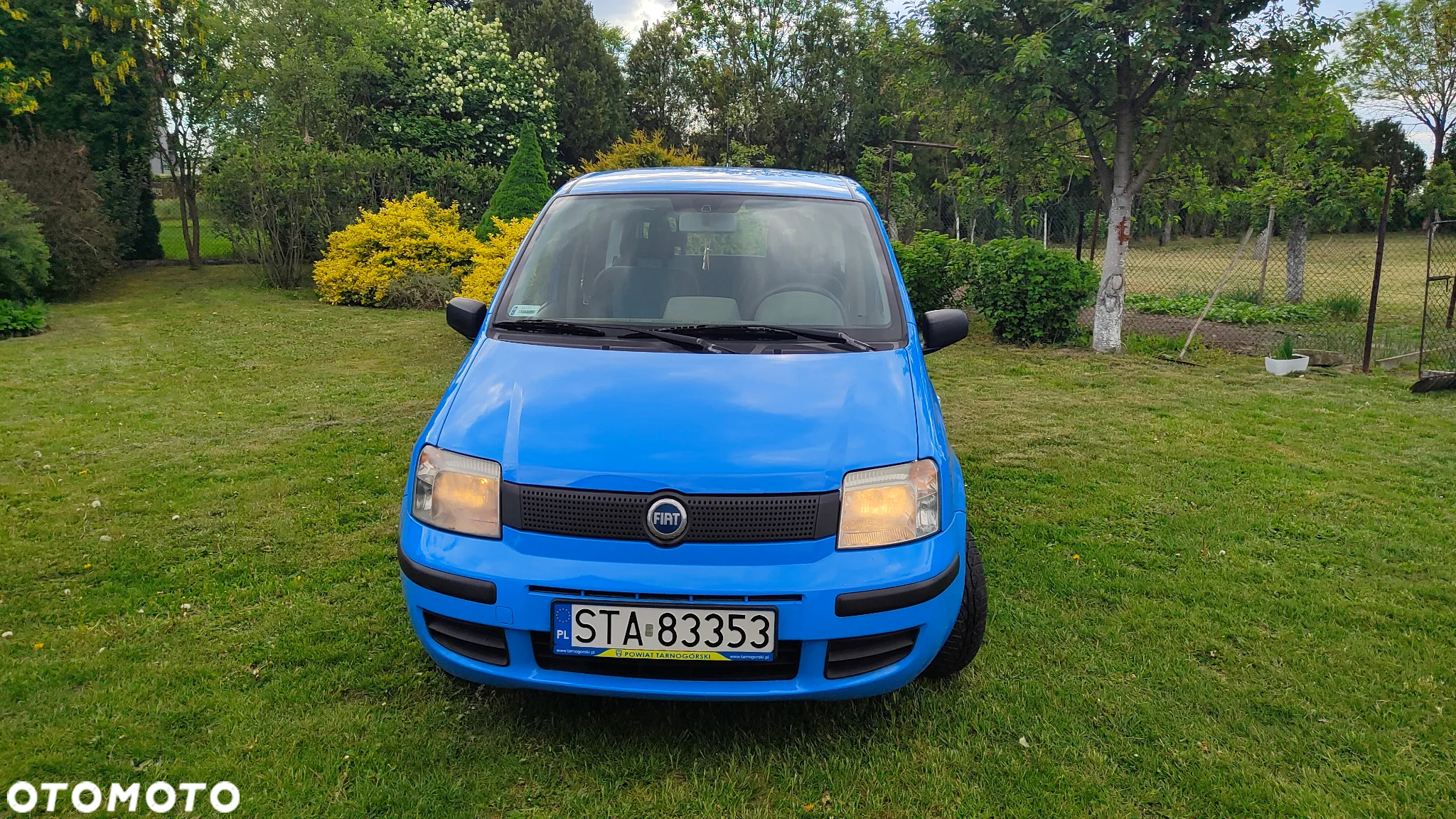 Fiat Panda - 2